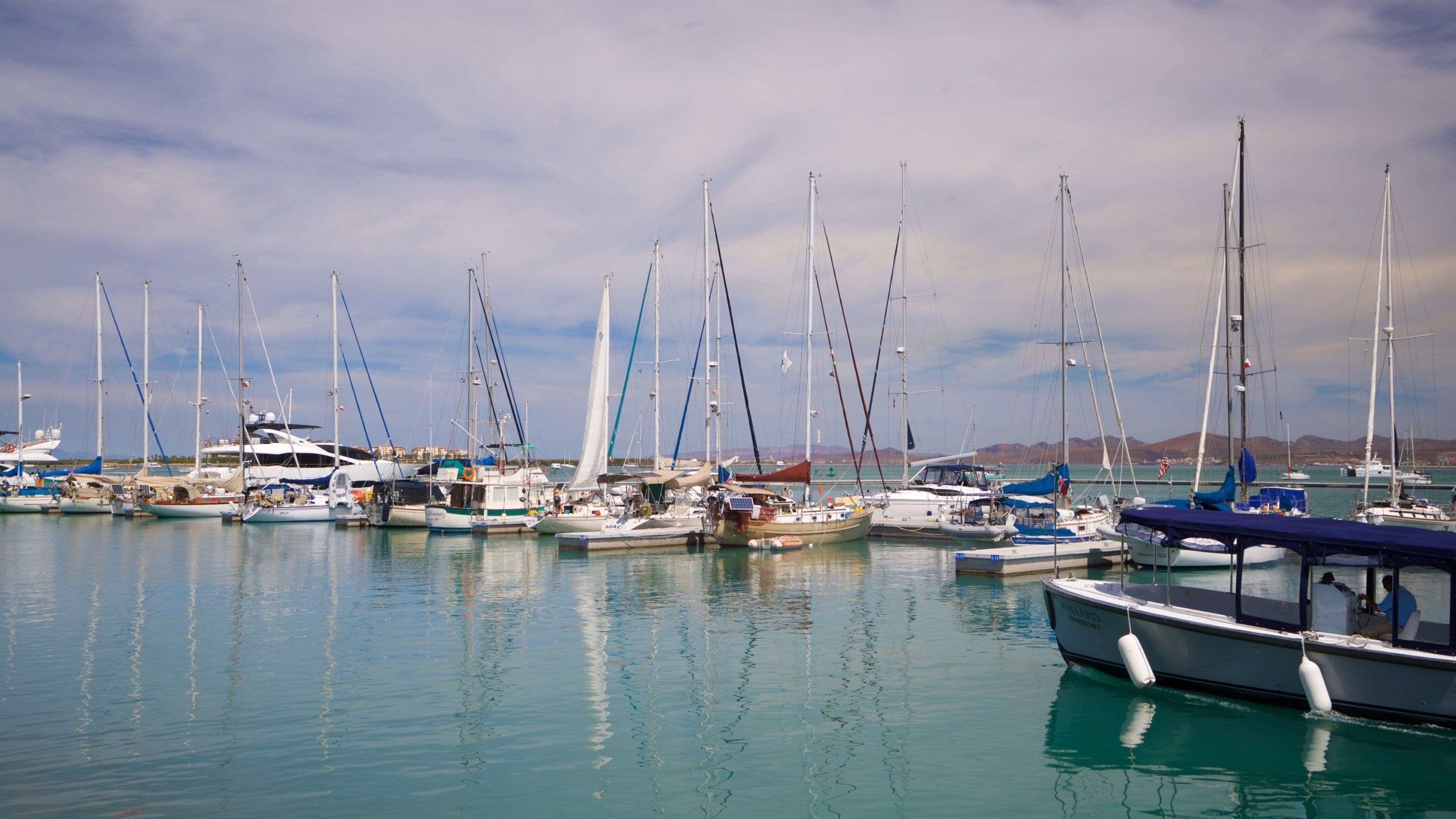 Marina Cortez featuring a bay or harbor