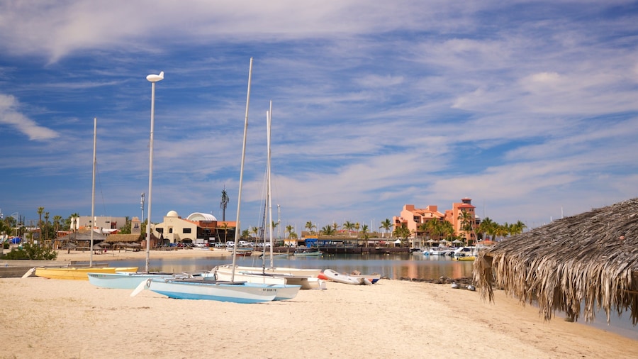 Marina Cortez showing a coastal town and a beach