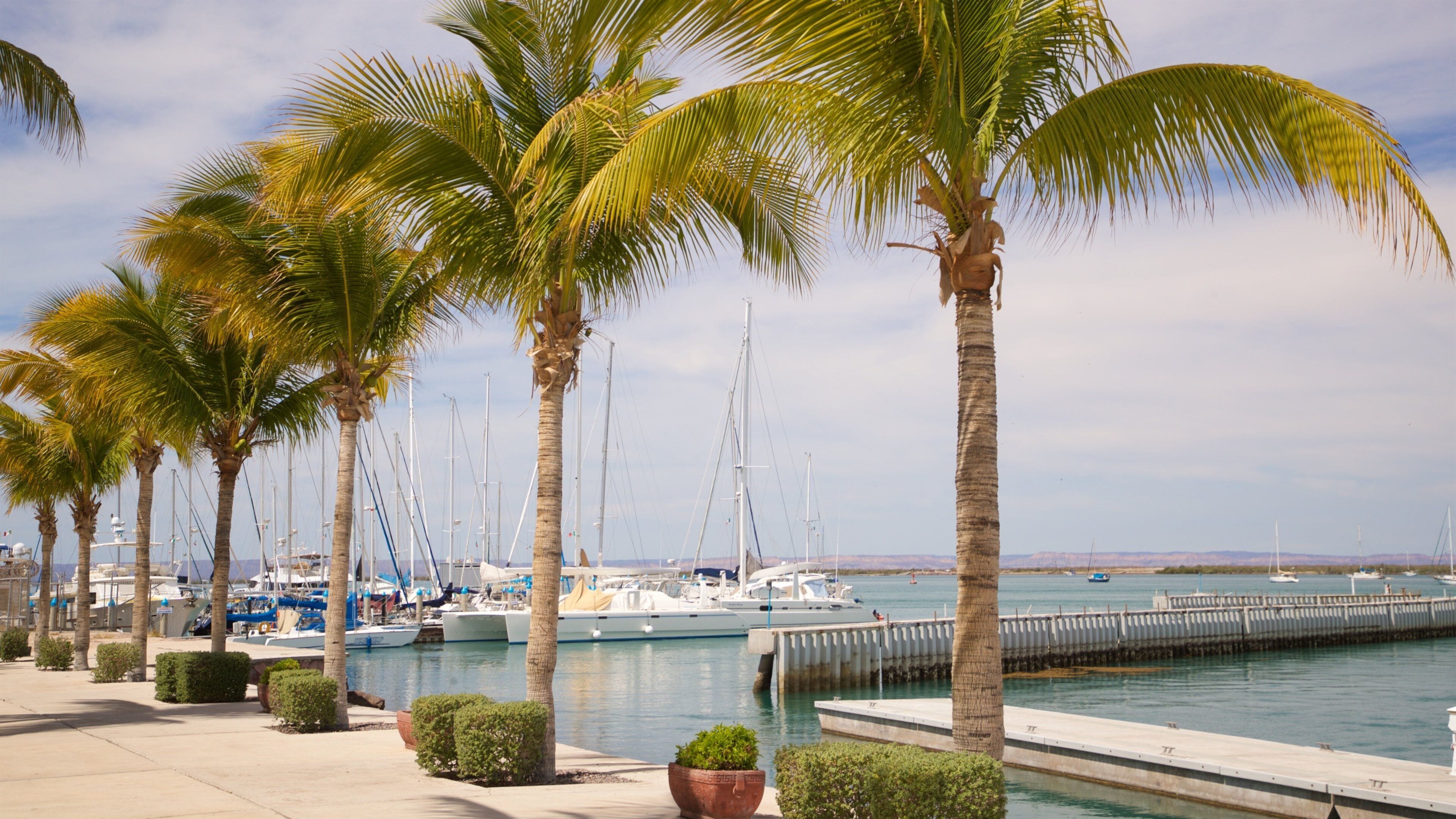 Marina Cortez featuring a bay or harbor