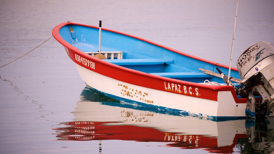 Marina Cortez featuring a bay or harbor