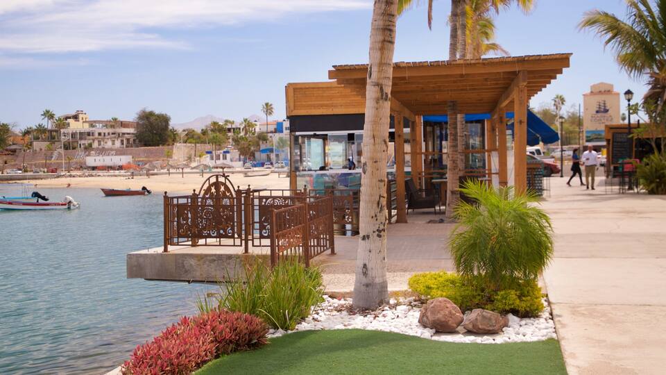 A waterfront restaurant with outdoor seating, palm trees, and a beach in the background.