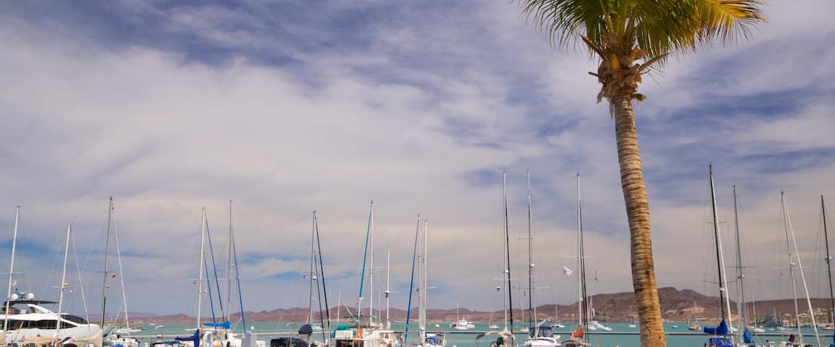 Marina Cortez showing a bay or harbor