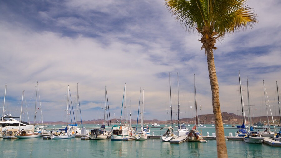 Marina Cortez showing a bay or harbor