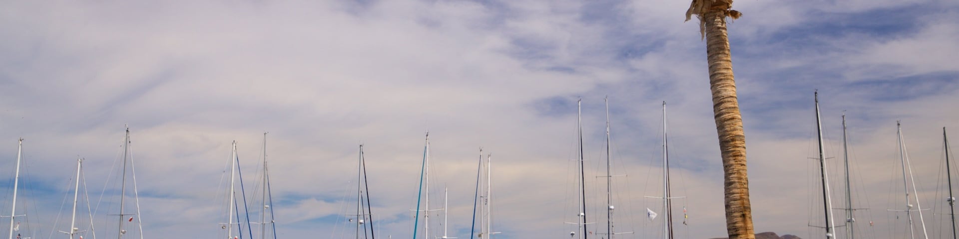 Marina Cortez showing a bay or harbor