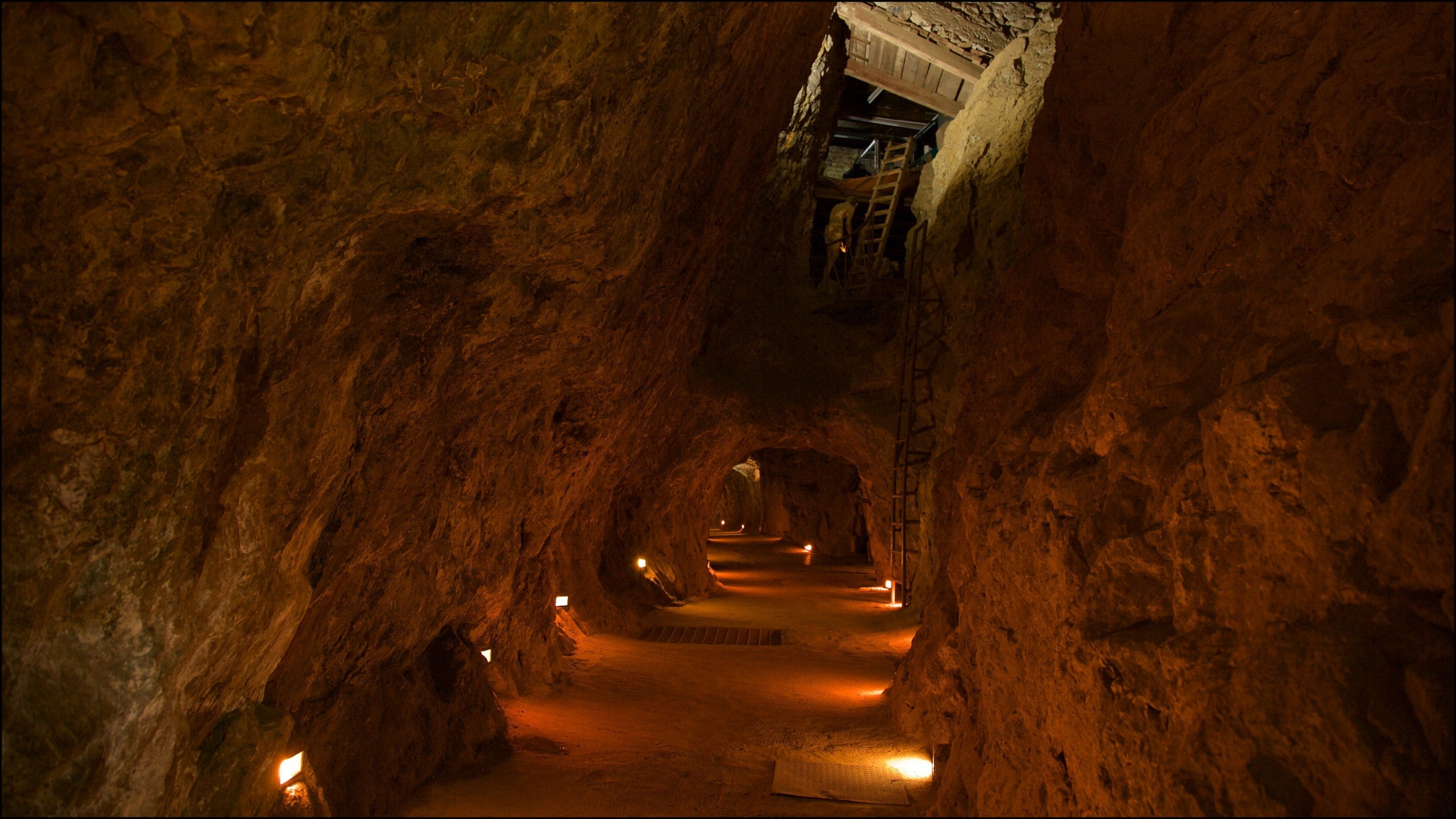 A dimly lit underground tunnel with rough rock walls and a ladder leading to an exit.