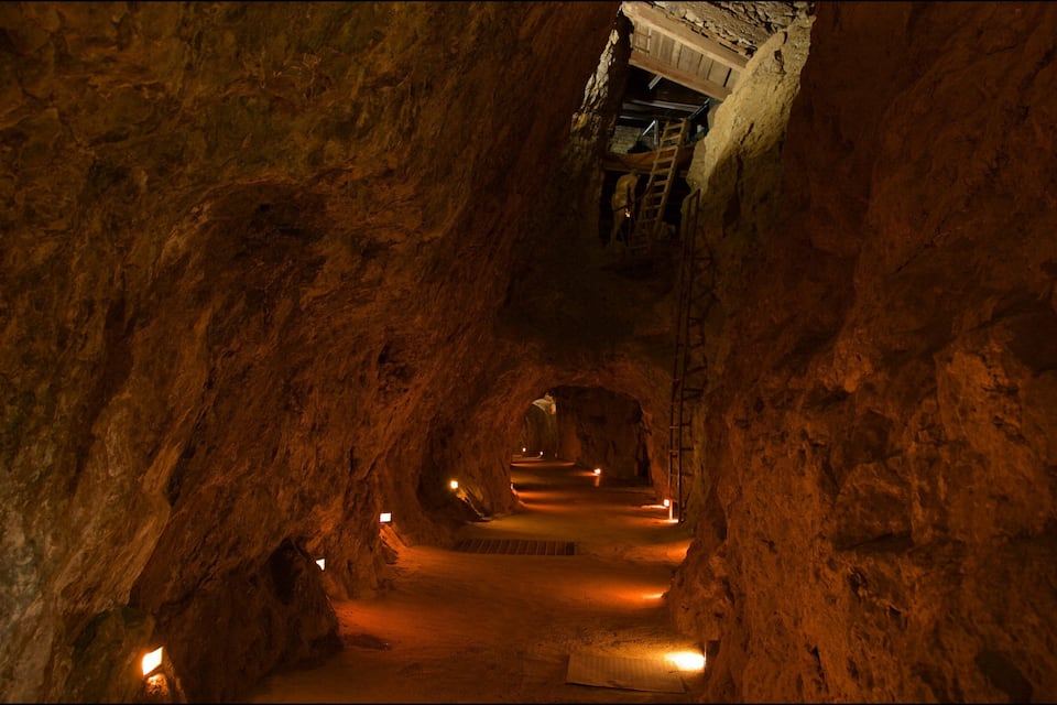 A dimly lit underground tunnel with rough rock walls and a ladder leading to an exit.