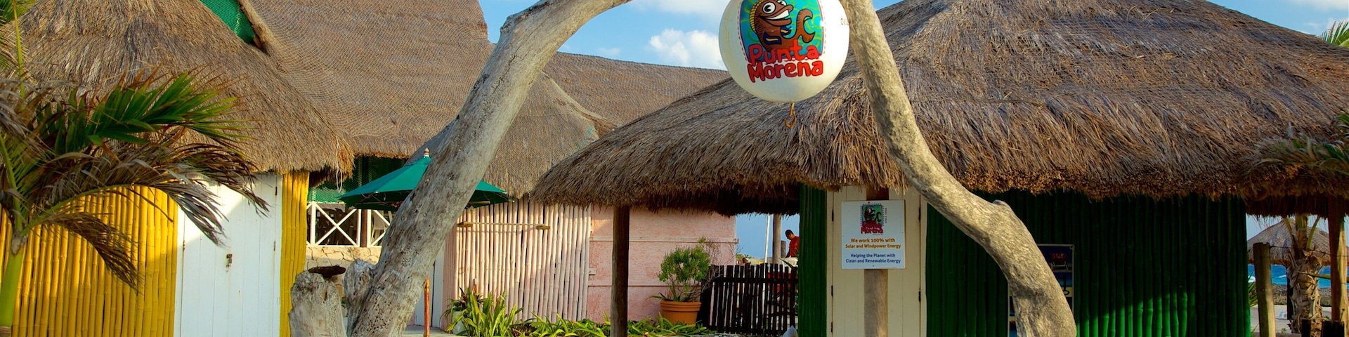 Punta Morena showing signage and tropical scenes