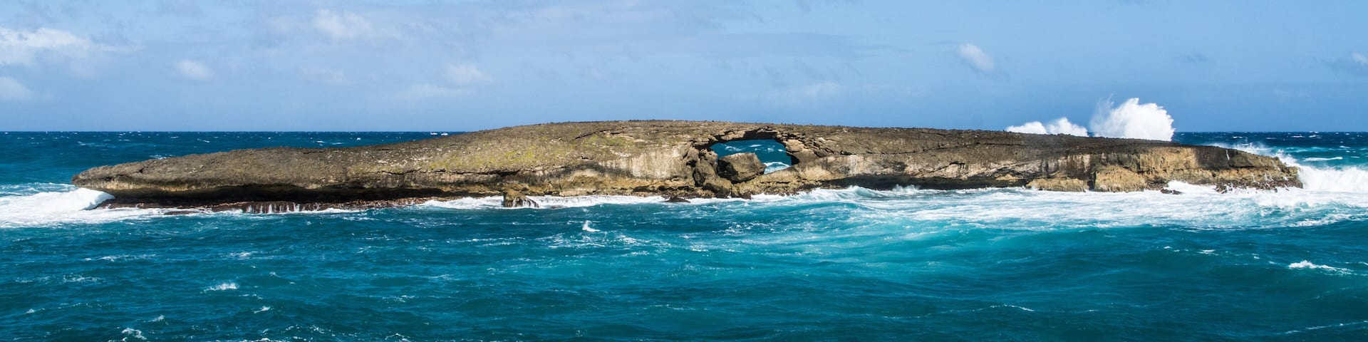 Survivor of the rough sea