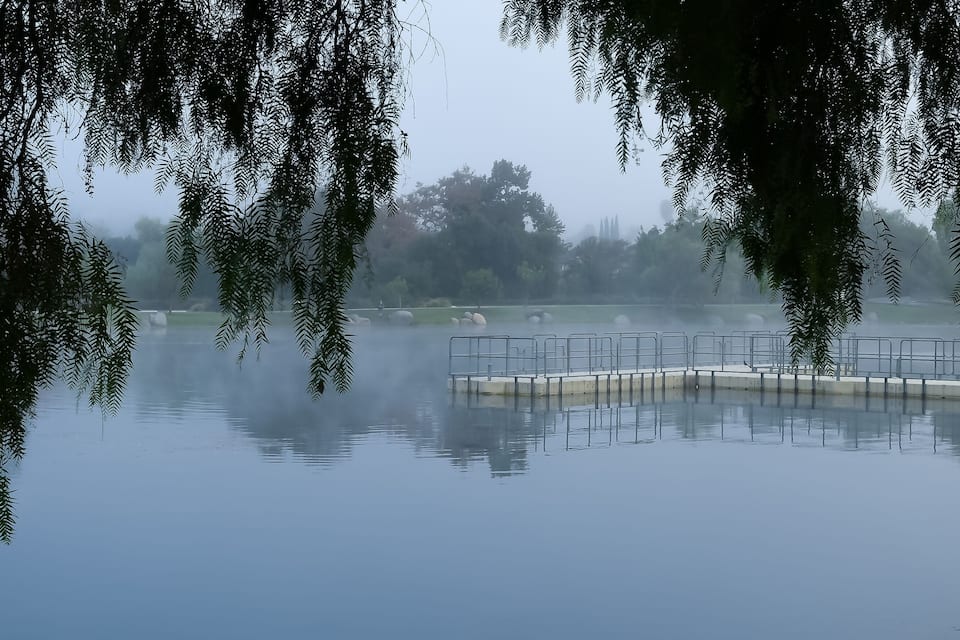 A misty lake with a metal railing and trees in the foreground.
