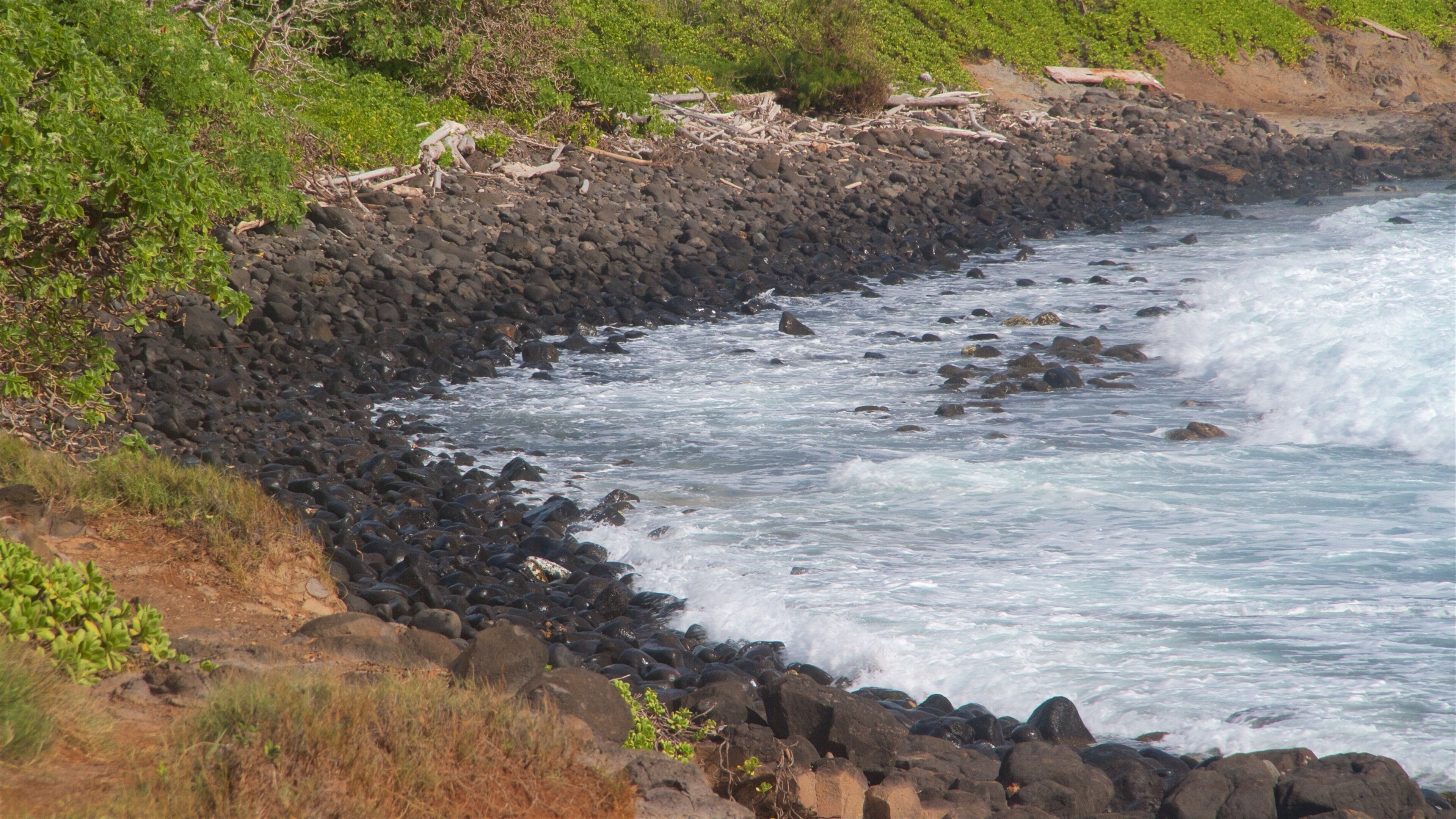 Ke Ala Hele Makalae East Shore Beach Path showing rocky coastline, a pebble beach and general coastal views