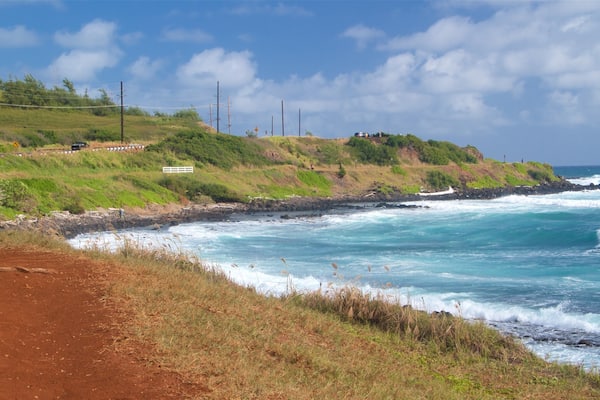 Ke Ala Hele Makalae East Shore Beach Path which includes general coastal views, surf and rugged coastline