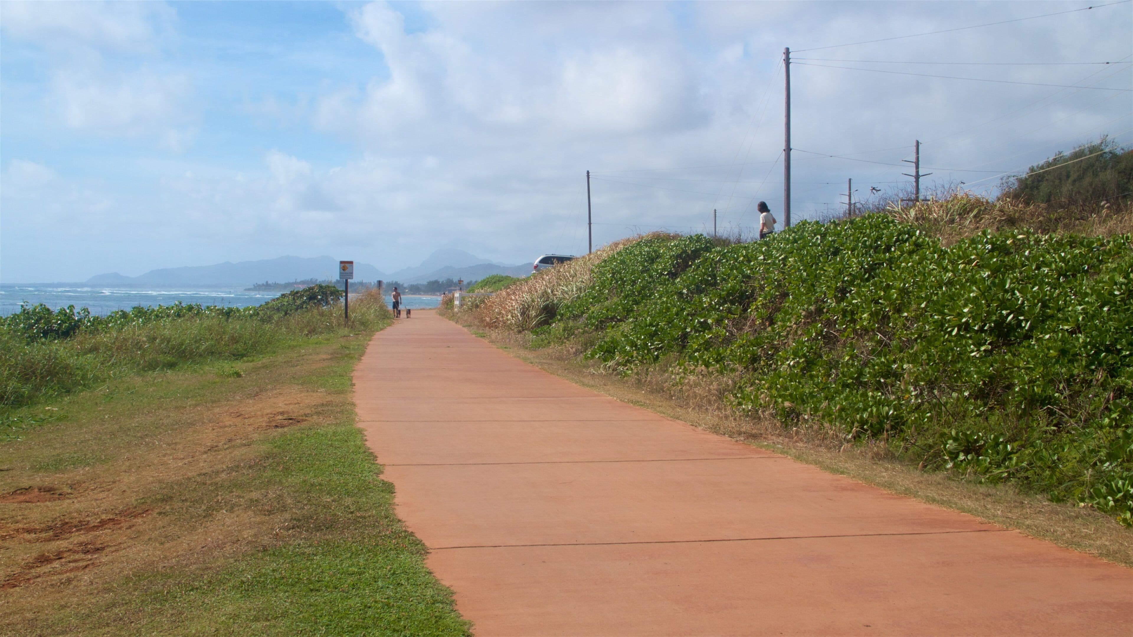 Ke Ala Hele Makalae East Shore Beach Path showing general coastal views