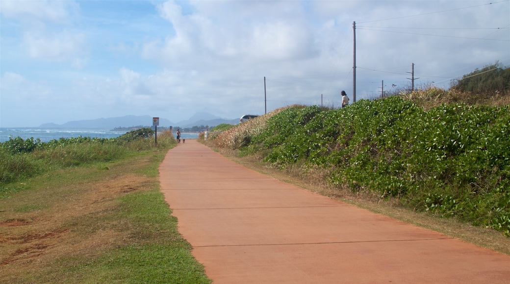 Ke Ala Hele Makalae East Shore Beach Path showing general coastal views