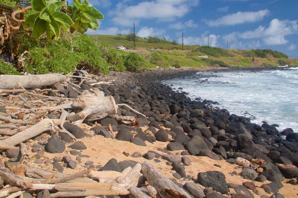 Ke Ala Hele Makalae East Shore Beach Path featuring general coastal views, rugged coastline and a pebble beach