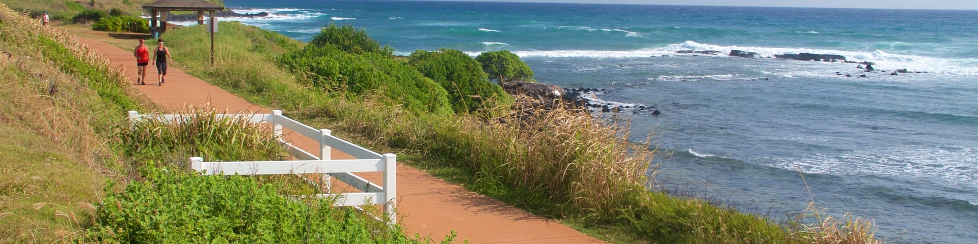 Ke Ala Hele Makalae East Shore Beach Path showing hiking or walking and general coastal views as well as a couple