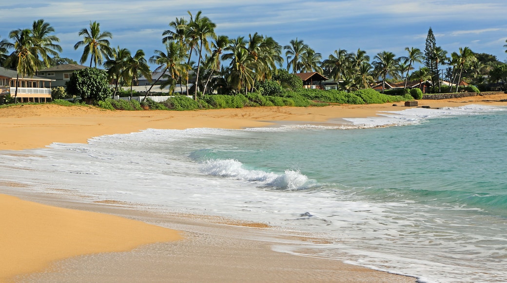 Makaha Beach - Oahu, Hawaii; Shutterstock ID 518612611; Purchase Order: -