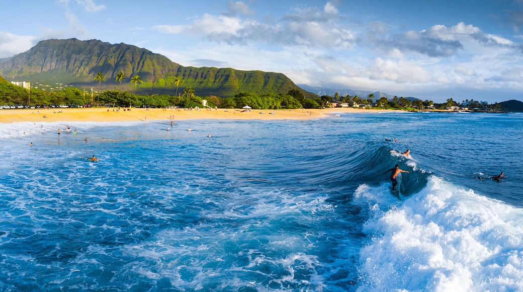 Panorama of the surf spot Makaha with the surfer riding the wave. Oahu, Hawaii