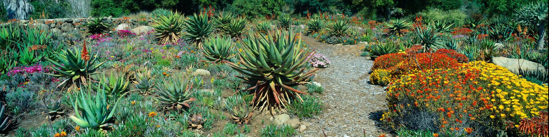 Gardens in Spring, Ojai Center for Earth Concerns, Ojai, California