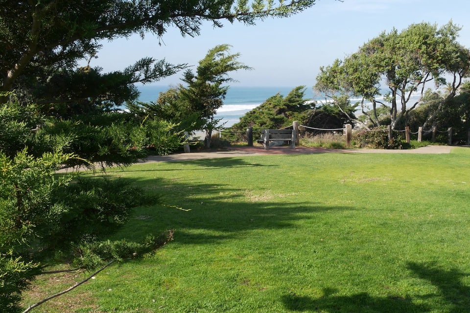 A grassy park with trees, a bench, and a view of the ocean.