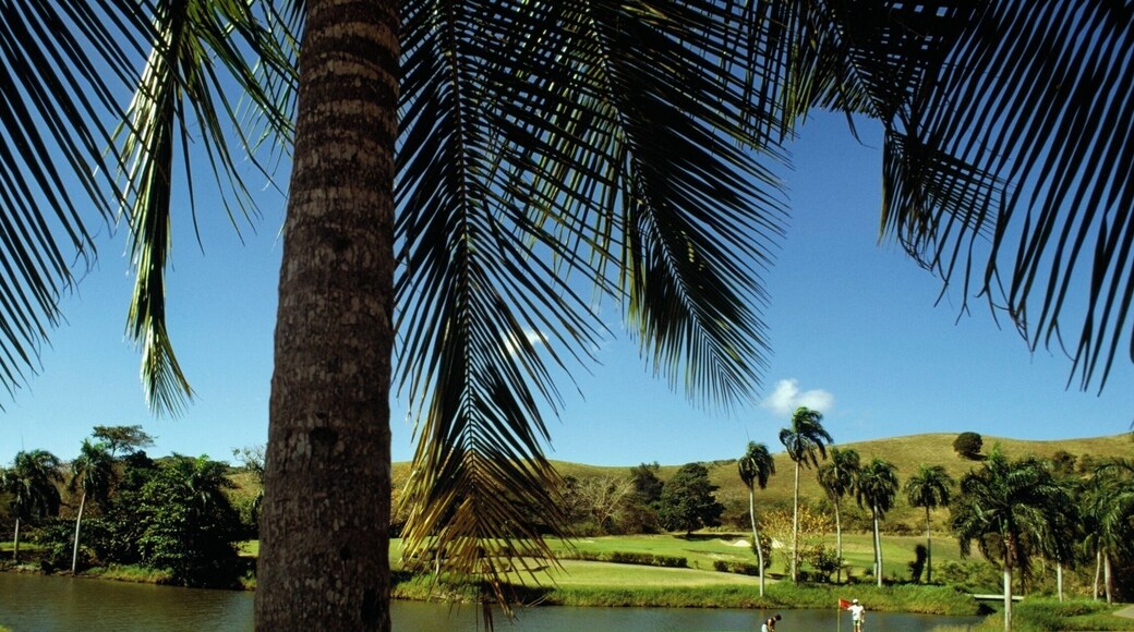 Two golfers playing golf at Fountain Valley Golf Course, St. Croix, U.S. Virgin Islands