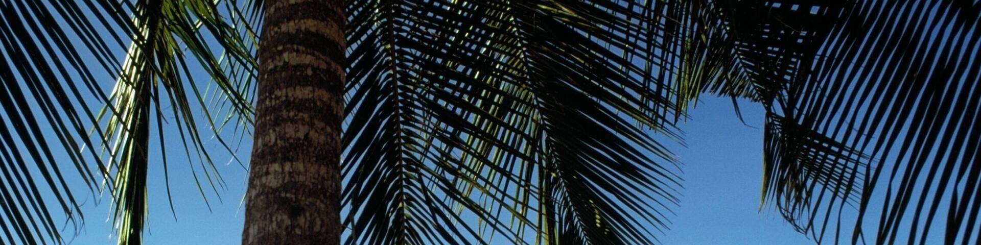 Two golfers playing golf at Fountain Valley Golf Course, St. Croix, U.S. Virgin Islands