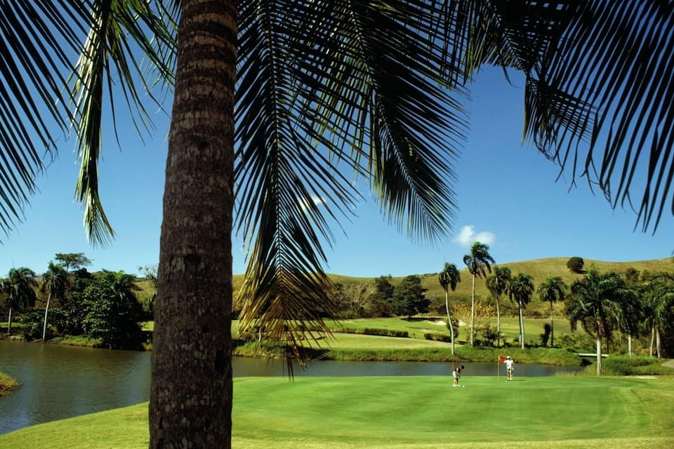 A golf course with a lake, palm trees, and a clear blue sky.