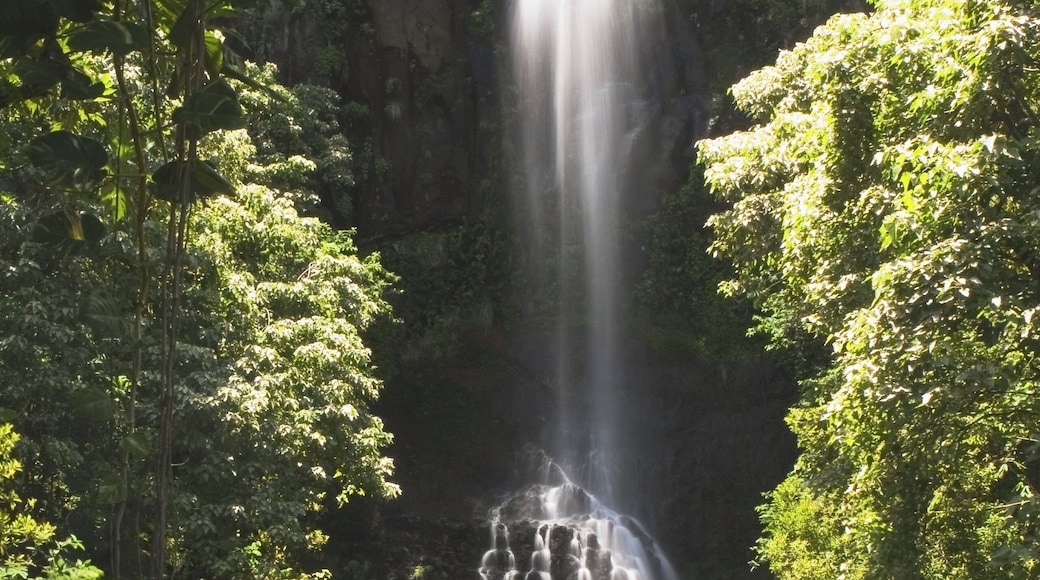 Maui Garden Of Eden - Botanical Gardens & Arboretum