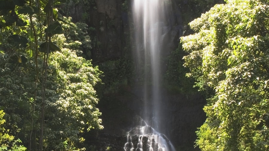 Maui Garden Of Eden - Botanical Gardens & Arboretum