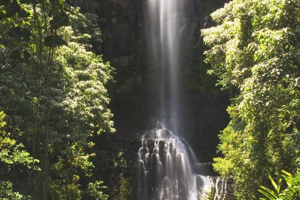 A waterfall cascading down a rocky cliff surrounded by dense green foliage.