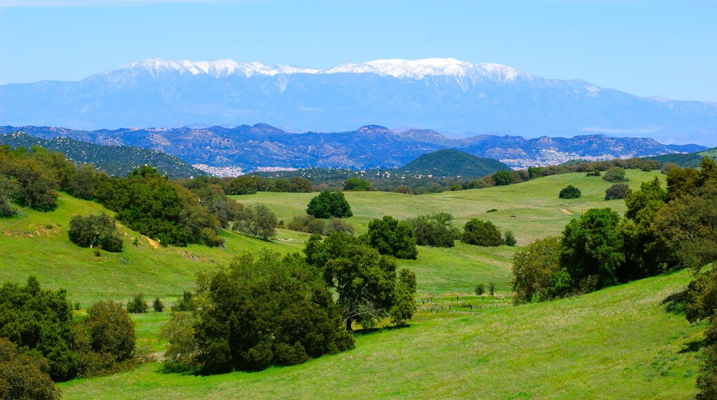 Santa Rosa Plateau Ecological Reserve