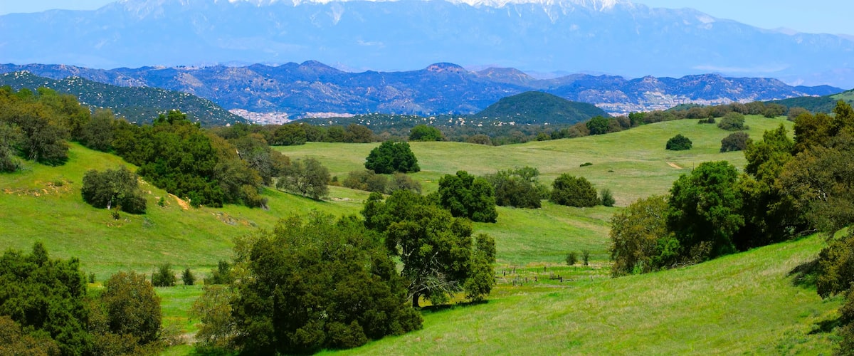 Santa Rosa Plateau in spring