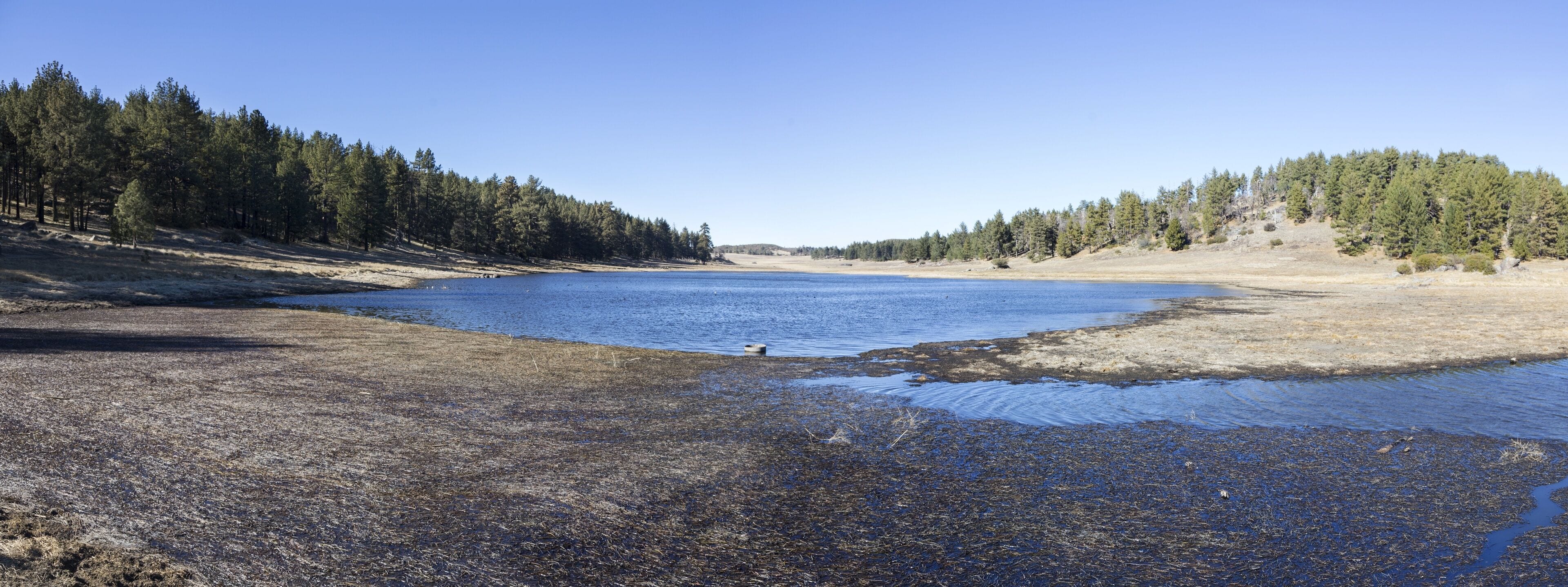 Big Laguna Lake Shore Grassland and Alpine Meadows Panoramic Landscape. Scenic Hiking in Cleveland National Forest, Southern California on a cold and sunny winter day