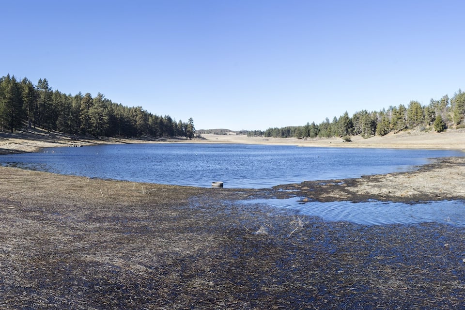 A lake surrounded by dense forests and a sandy shoreline.