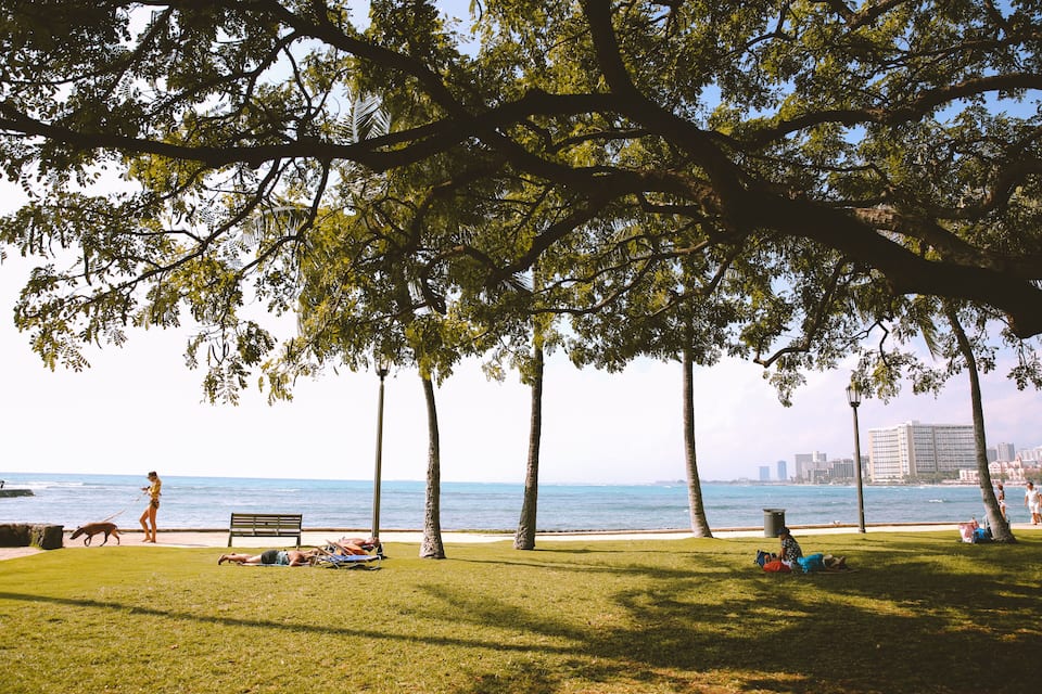 A park with a grassy area, trees, a bench, and a view of the ocean.