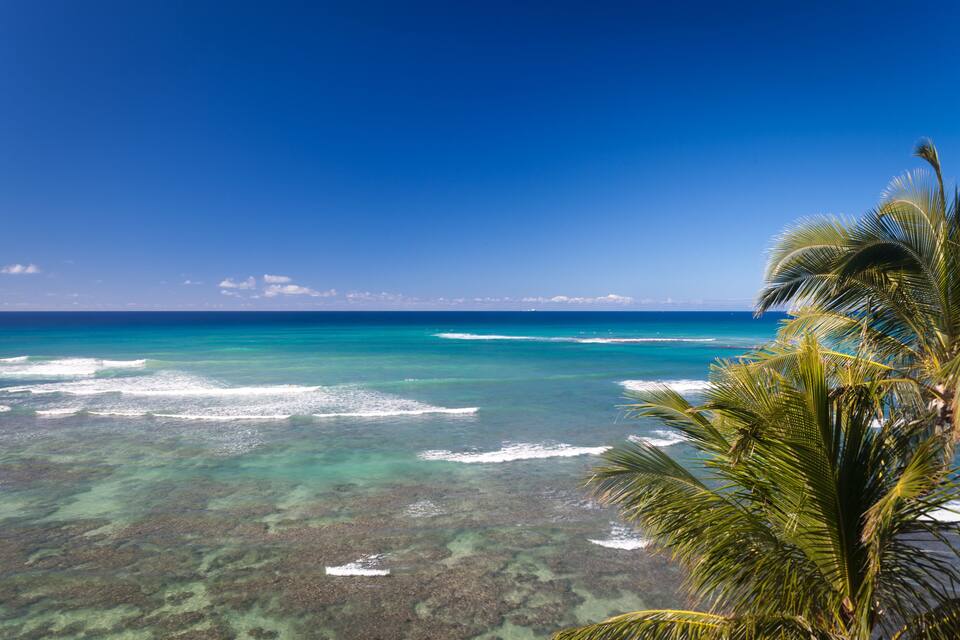 A clear blue sky, turquoise ocean, and a palm tree.