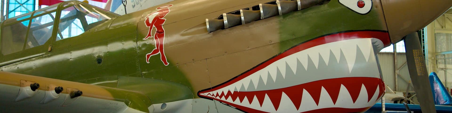 Pacific Aviation Museum Pearl Harbor featuring interior views and aircraft