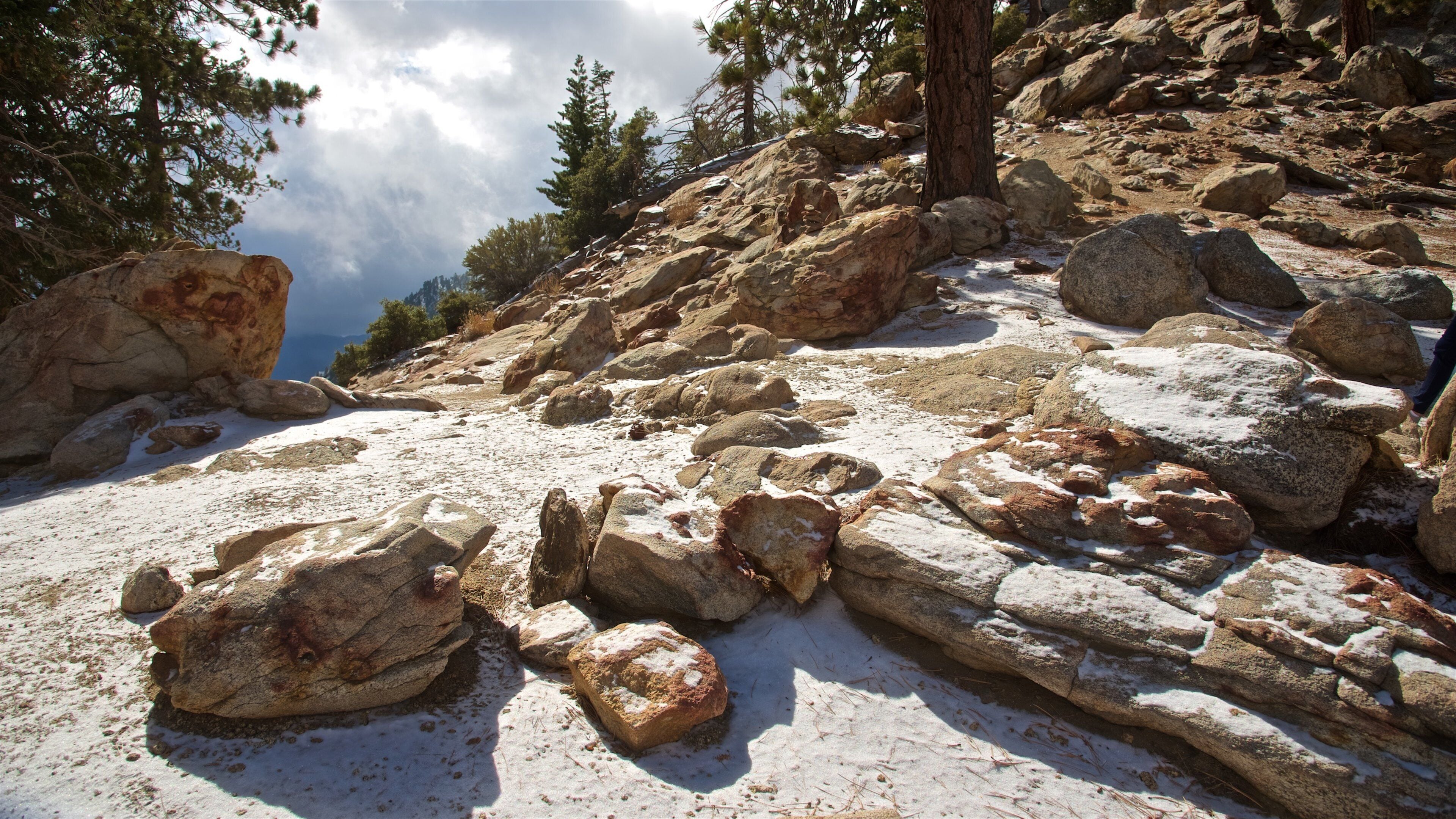 Mount San Jacinto State Park which includes mountains and tranquil scenes