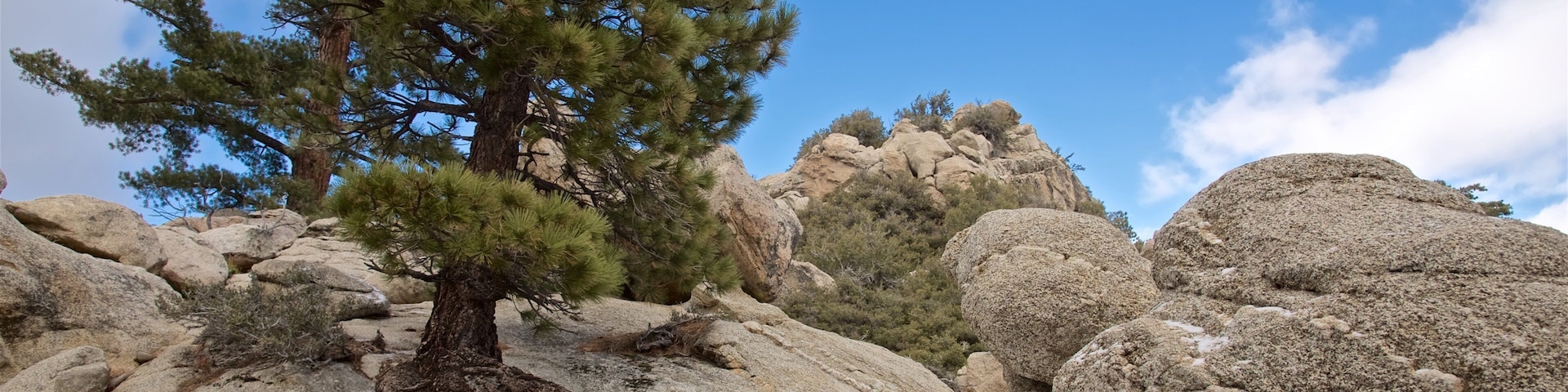 Mount San Jacinto State Park showing tranquil scenes