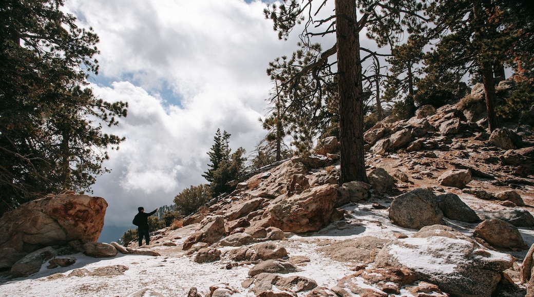Mount San Jacinto State Park showing hiking or walking and mountains