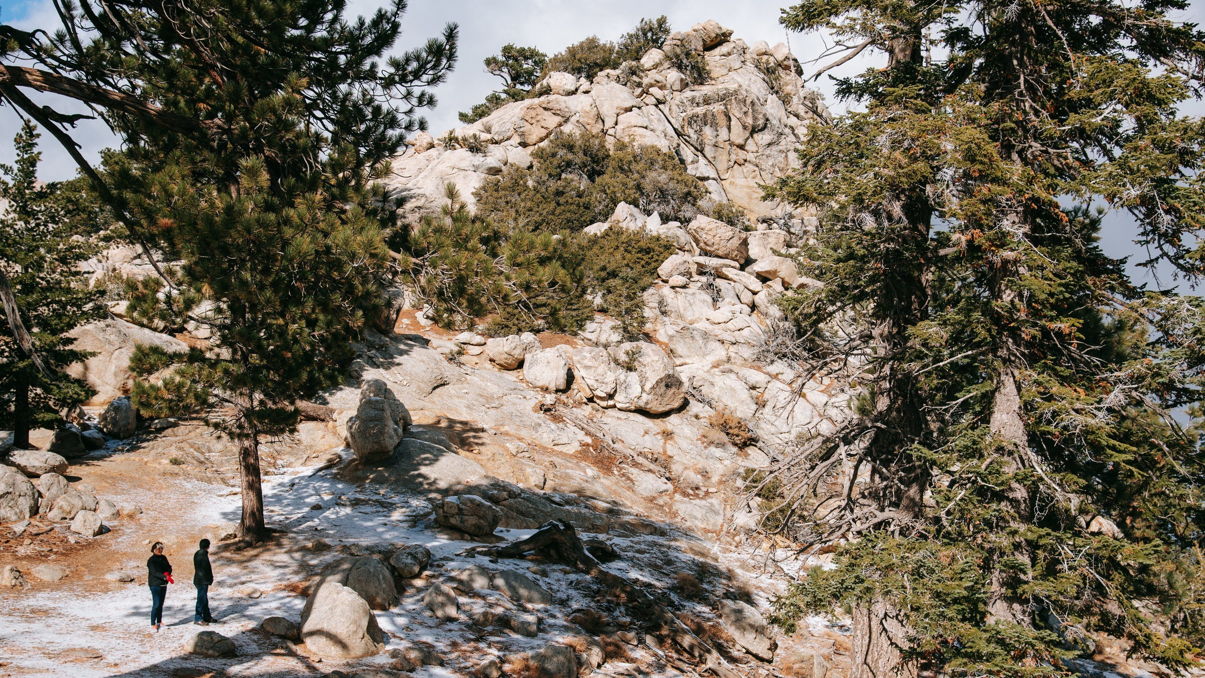 Mount San Jacinto State Park showing mountains as well as a couple