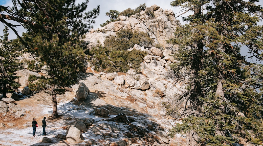Mount San Jacinto State Park showing mountains as well as a couple