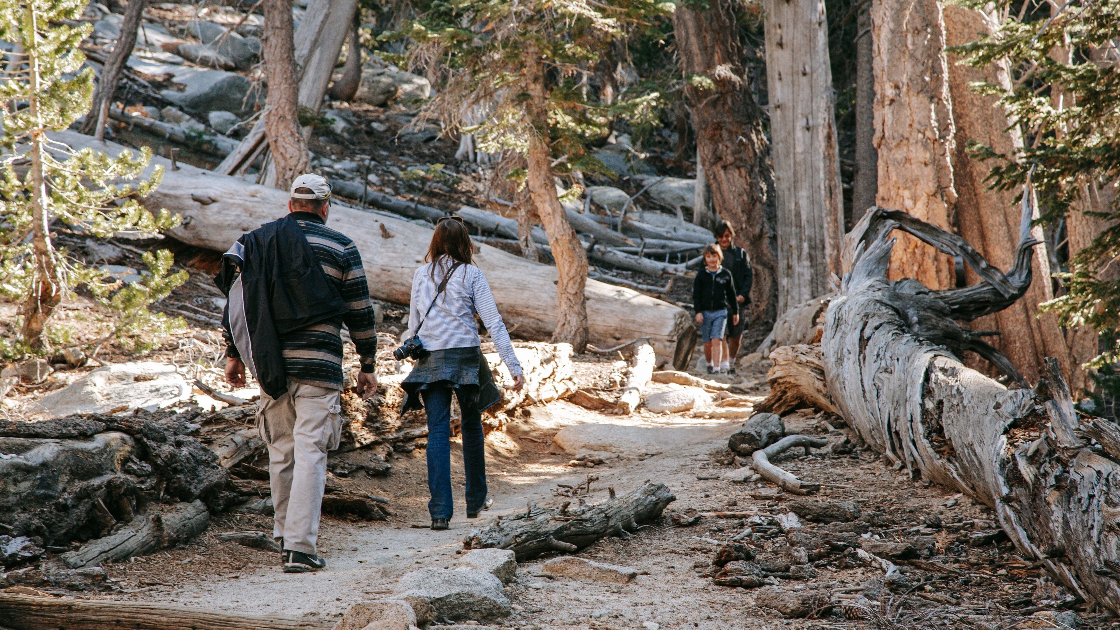 Mount San Jacinto State Park which includes forests and hiking or walking as well as a couple