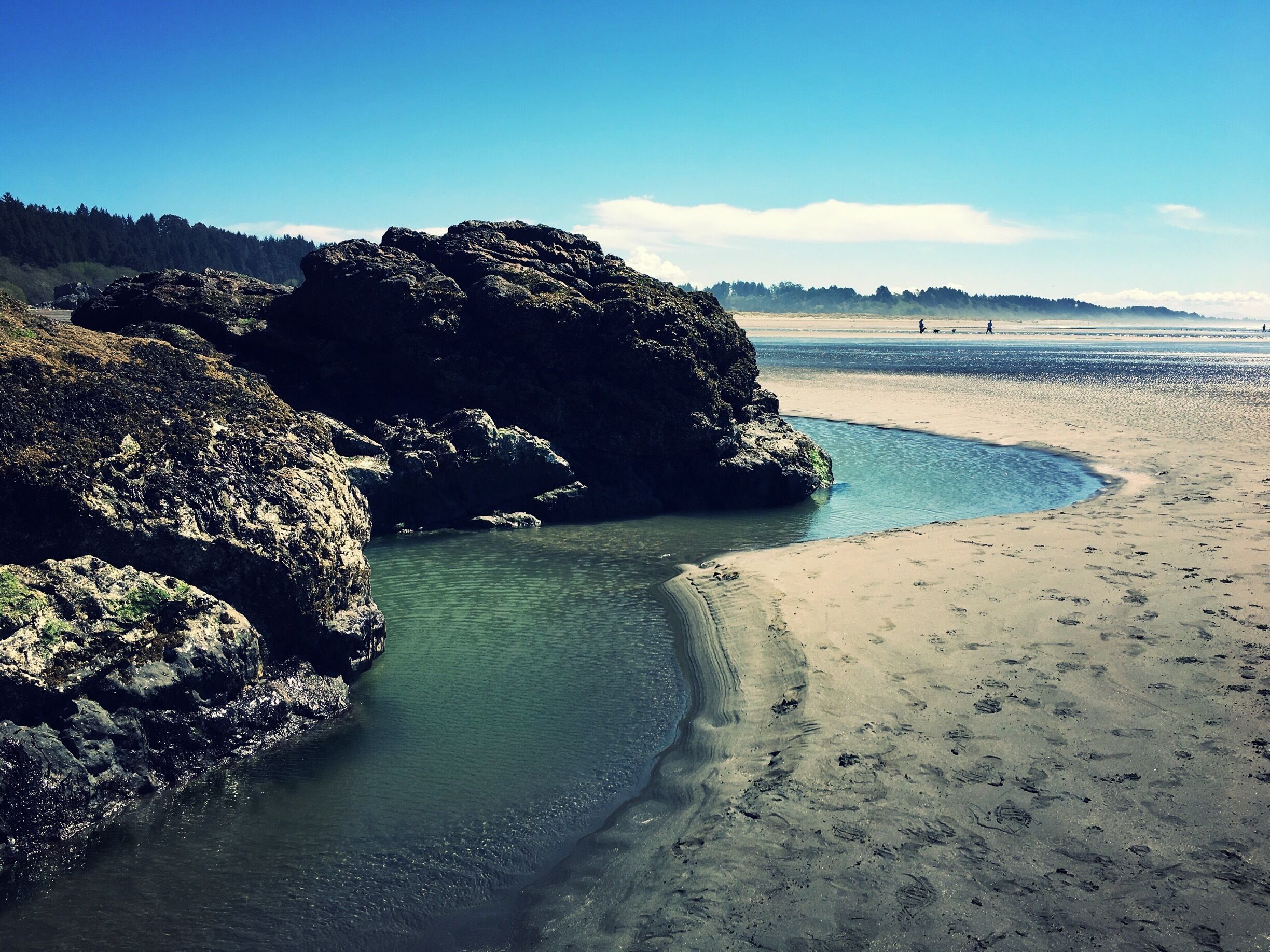 Moonstone Beach is off of the Westhaven exit of Northbound CA Highway 101. This picture was taken from the north end of the beach at low tide. I spotted a starfish and some anemones in these pools.