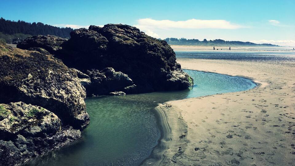 Moonstone Beach is off of the Westhaven exit of Northbound CA Highway 101. This picture was taken from the north end of the beach at low tide. I spotted a starfish and some anemones in these pools.