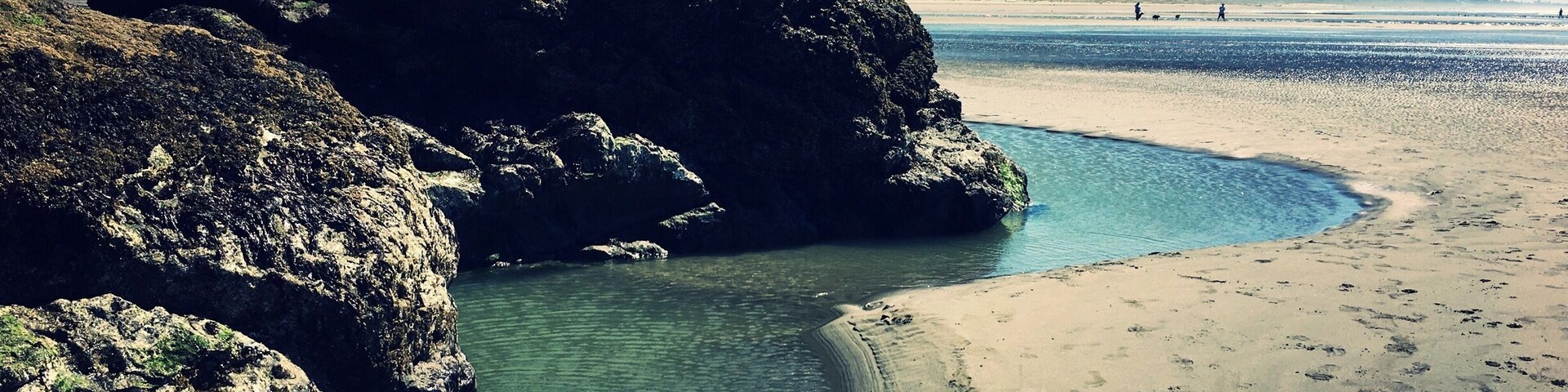 Moonstone Beach is off of the Westhaven exit of Northbound CA Highway 101. This picture was taken from the north end of the beach at low tide. I spotted a starfish and some anemones in these pools.
