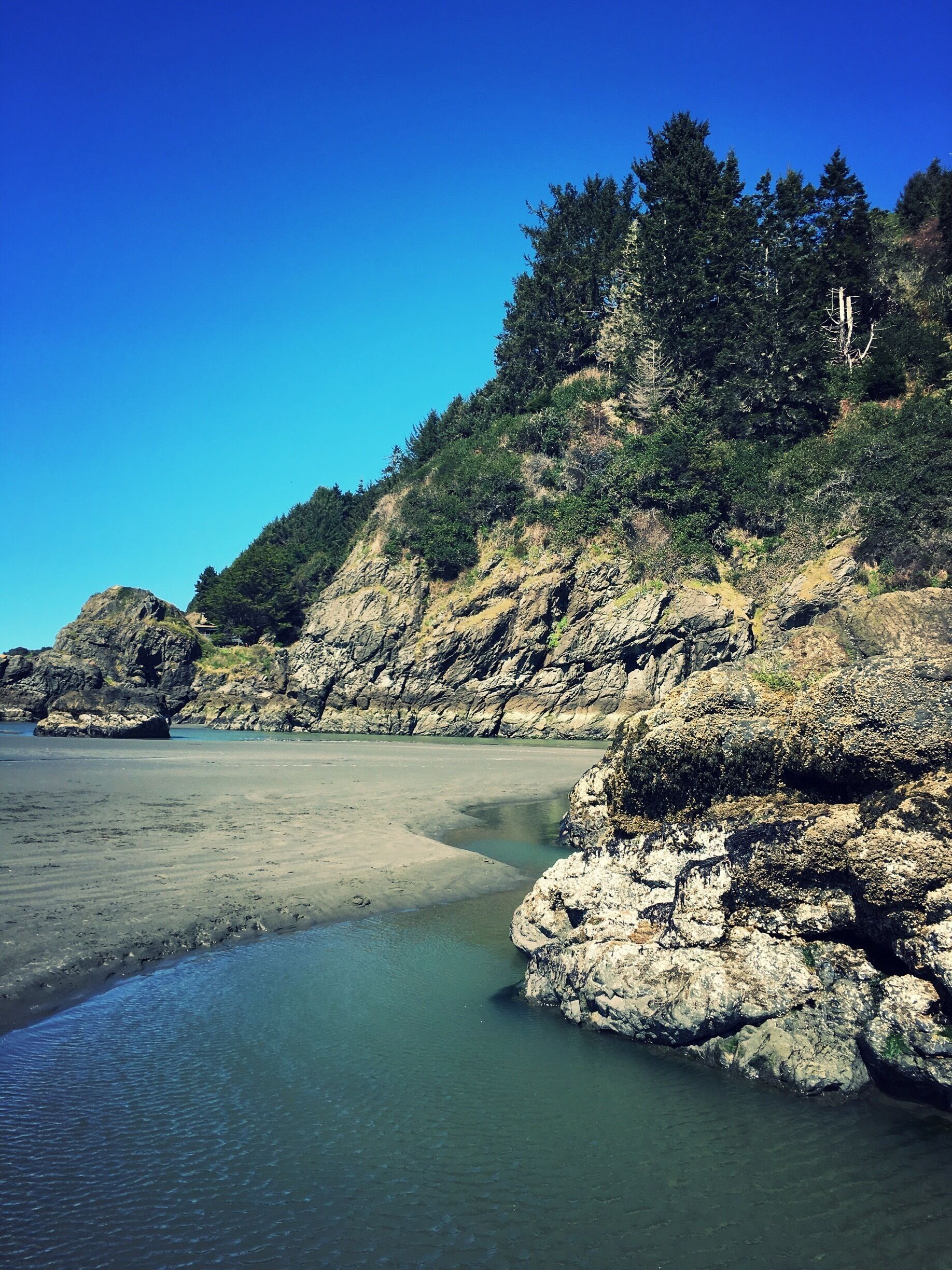 Moonstone Beach at low tide
