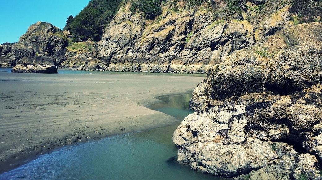 Moonstone Beach at low tide