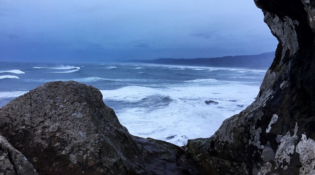 From wedding rock when the surf was high. Patrick’s Point entry is $8 per car, $7 for seniors to drive into the park.