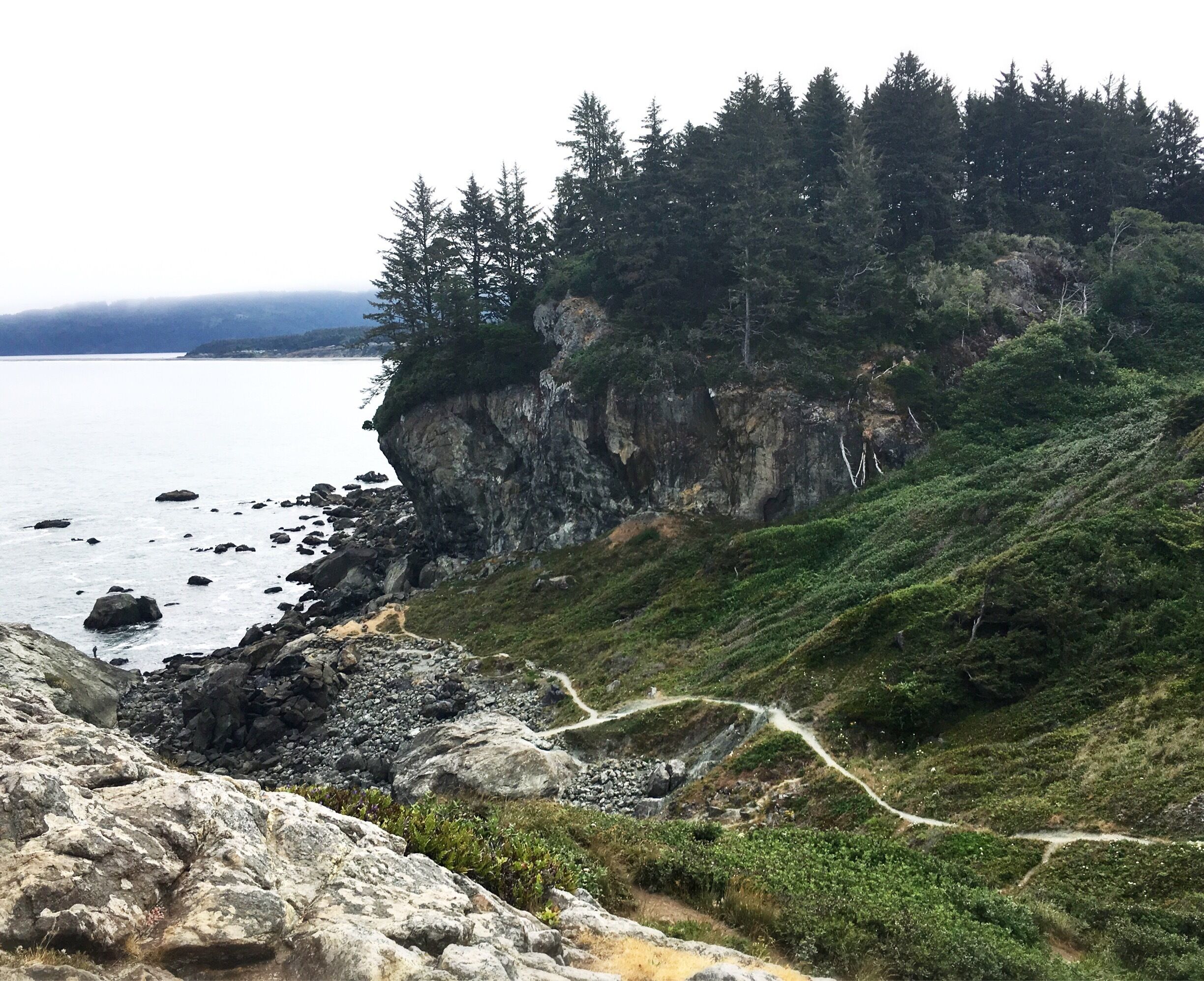 Patrick’s Point State Park has several campgrounds, a beach known for its abundance of agates, several trails, and is also open for day use. 
This view is from Wedding Rock looking north.
#Nature #StatePark #Camping
