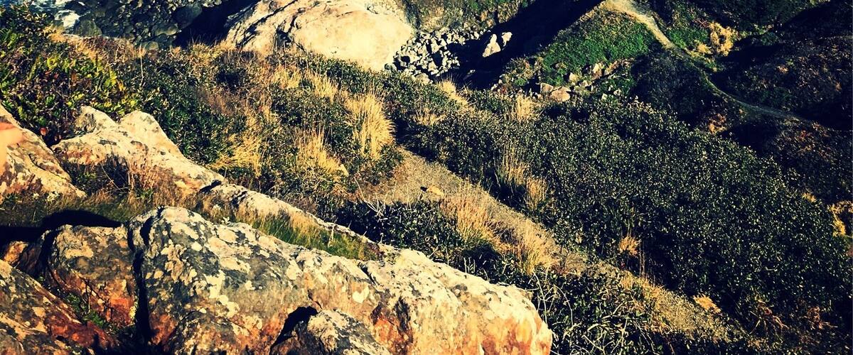 Just a 2 minute walk from a parking lot! $8 per vehicle to get into the park, several beaches and paths to explore.
Patrick’s Point State Park has continued to be one of my top five favorite hangouts/destinations/locations in Northern Humboldt. No matter how many times I visit, this park (especially this view from Wedding Rock) continues to soothe & exhilarate me! #MyBackyard